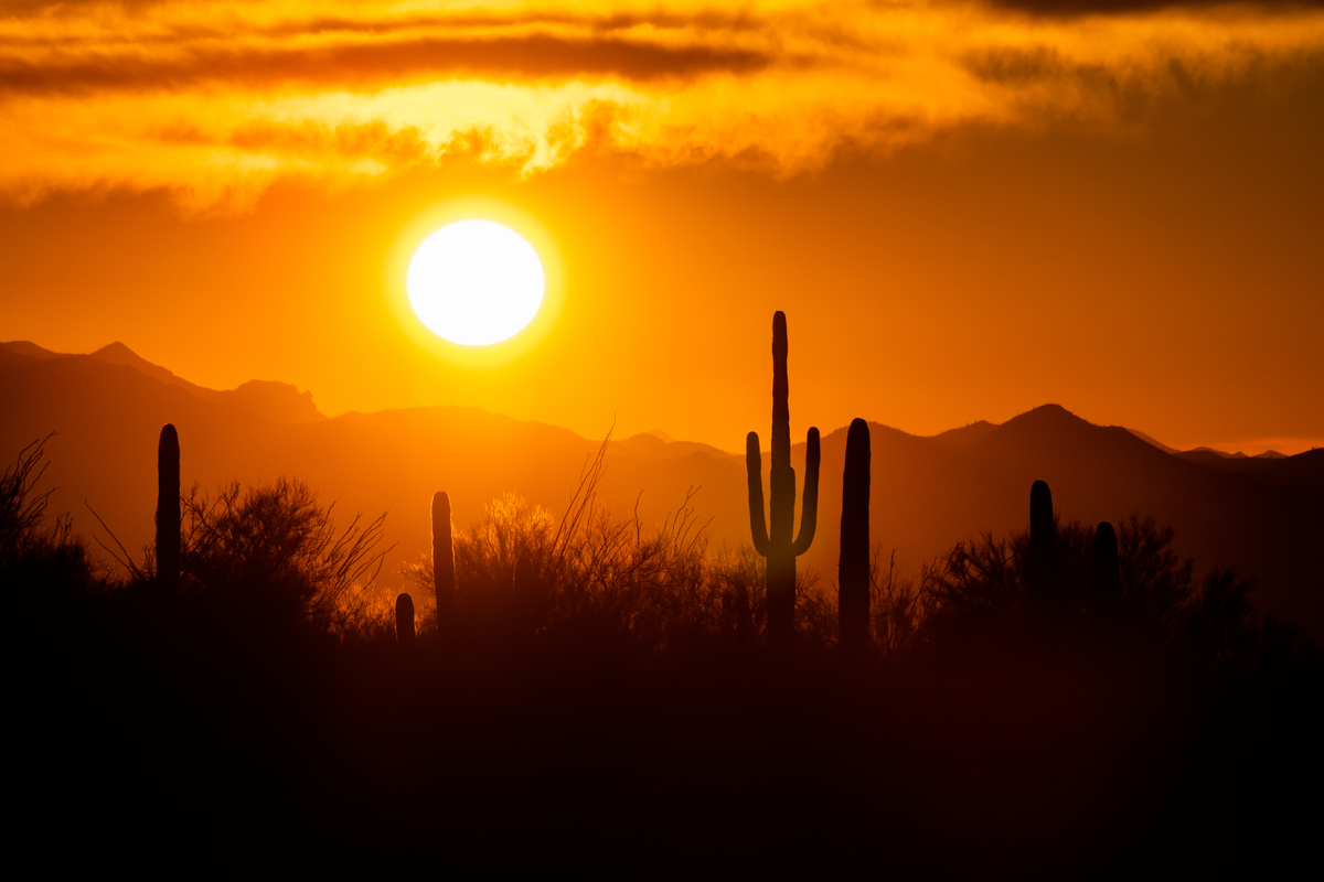 Pima County’s Proclamation Illustrates the Trouble with Local Control